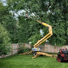 Lawn Watering Services in Crest, CA